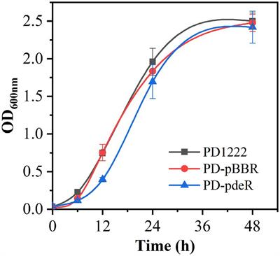 Overexpression of pdeR promotes biofilm formation of Paracoccus denitrificans by promoting ATP production and iron acquisition